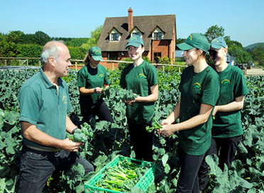 The farm workers at Rook Row Farm