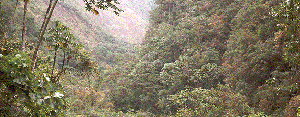 fuchsia country, Peru